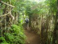 /album/galerie-de-photos-voyages2/a35-adda-13-jpg/